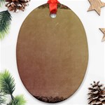 Background 1667478 1920 Oval Ornament (Two Sides) Front