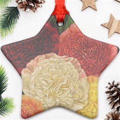 Flowers 1776434 1280 Ornament (star) by vintage2030