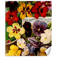 Flowers 1776534 1920 Canvas 8  X 10  by vintage2030