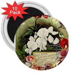 Flowers 1776617 1920 3  Magnets (10 Pack)  by vintage2030