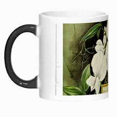 Flowers 1776617 1920 Morph Mugs by vintage2030