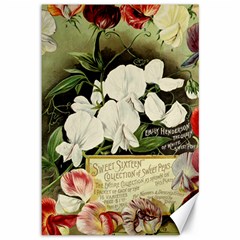 Flowers 1776617 1920 Canvas 12  X 18  by vintage2030