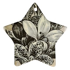 Flowers 1776382 1280 Ornament (star) by vintage2030