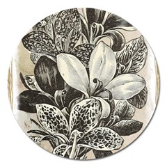 Flowers 1776382 1280 Magnet 5  (round) by vintage2030