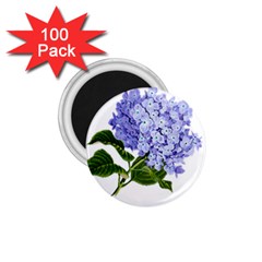 Flower 1775377 1280 1 75  Magnets (100 Pack)  by vintage2030