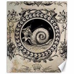 Snail 1618209 1280 Canvas 8  X 10  by vintage2030