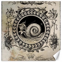 Snail 1618209 1280 Canvas 12  X 12  by vintage2030