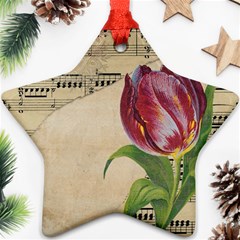 Tulip 1229027 1920 Star Ornament (two Sides) by vintage2030