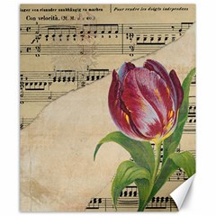 Tulip 1229027 1920 Canvas 20  X 24  by vintage2030