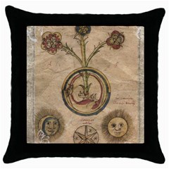 Vintage 1181681 1280 Throw Pillow Case (black) by vintage2030