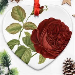 Rose 1077964 1280 Ornament (heart) by vintage2030