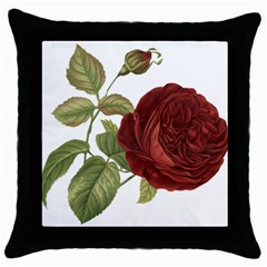 Rose 1077964 1280 Throw Pillow Case (black) by vintage2030