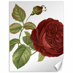 Rose 1077964 1280 Canvas 18  X 24  by vintage2030