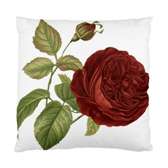 Rose 1077964 1280 Standard Cushion Case (two Sides) by vintage2030