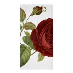 Rose 1077964 1280 Shower Curtain 36  X 72  (stall)  by vintage2030