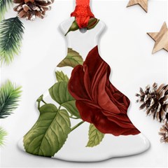 Rose 1077964 1280 Ornament (christmas Tree)  by vintage2030