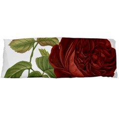 Rose 1077964 1280 Body Pillow Case (dakimakura) by vintage2030