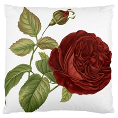 Rose 1077964 1280 Large Flano Cushion Case (one Side) by vintage2030