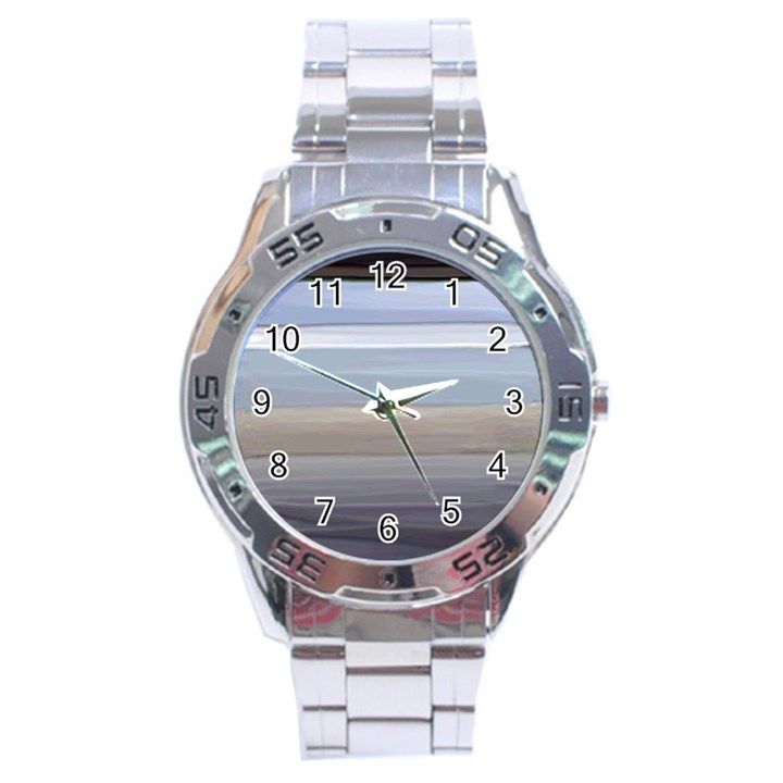 Pompey Beach Stainless Steel Analogue Watch