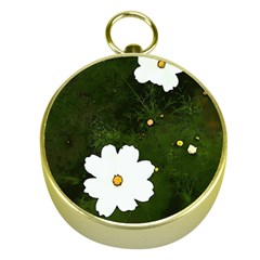 Daisies In Green Gold Compasses