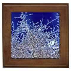 Crystalline Branches Framed Tiles