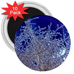 Crystalline Branches 3  Magnets (10 Pack) 