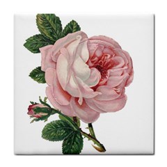 Rose 1078272 1920 Tile Coasters