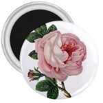 Rose 1078272 1920 3  Magnets Front