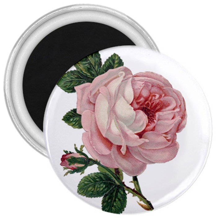 Rose 1078272 1920 3  Magnets