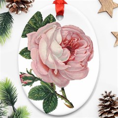 Rose 1078272 1920 Ornament (Oval)