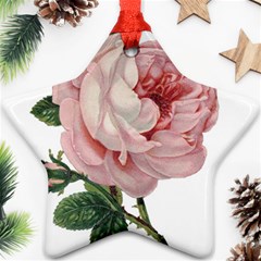 Rose 1078272 1920 Ornament (Star)