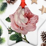 Rose 1078272 1920 Ornament (Star) Front