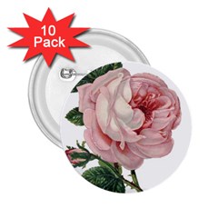 Rose 1078272 1920 2.25  Buttons (10 pack) 