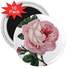 Rose 1078272 1920 3  Magnets (10 pack) 