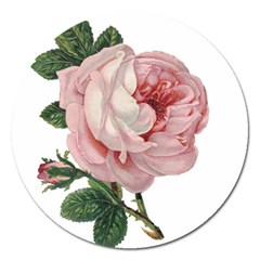 Rose 1078272 1920 Magnet 5  (round) by vintage2030