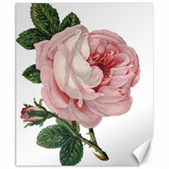 Rose 1078272 1920 Canvas 8  x 10 