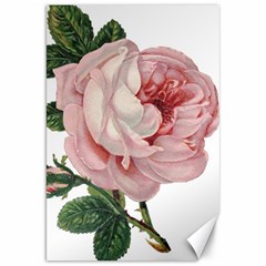 Rose 1078272 1920 Canvas 20  x 30 