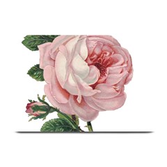 Rose 1078272 1920 Plate Mats