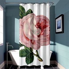 Rose 1078272 1920 Shower Curtain 36  x 72  (Stall) 