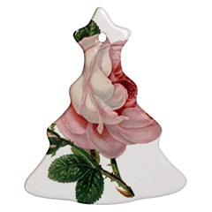 Rose 1078272 1920 Ornament (Christmas Tree) 