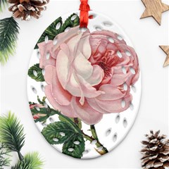 Rose 1078272 1920 Ornament (Oval Filigree)