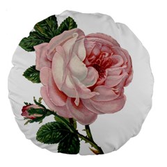 Rose 1078272 1920 Large 18  Premium Round Cushions