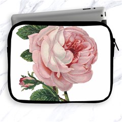 Rose 1078272 1920 Apple Ipad 2/3/4 Zipper Cases by vintage2030