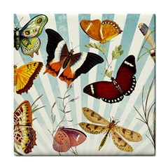 Butterfly 1064147 1920 Tile Coasters