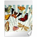 Butterfly 1064147 1920 Canvas 12  x 16  11.86 x15.41  Canvas - 1