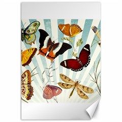 Butterfly 1064147 1920 Canvas 20  X 30  by vintage2030