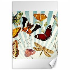 Butterfly 1064147 1920 Canvas 24  X 36  by vintage2030