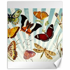 Butterfly 1064147 1920 Canvas 11  X 14  by vintage2030