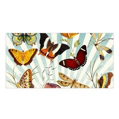 Butterfly 1064147 1920 Satin Shawl by vintage2030