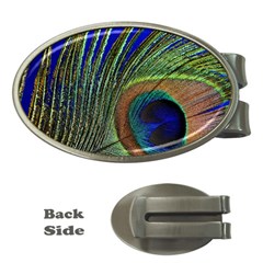 Peacock Feather Macro Peacock Bird Money Clips (oval)  by Simbadda